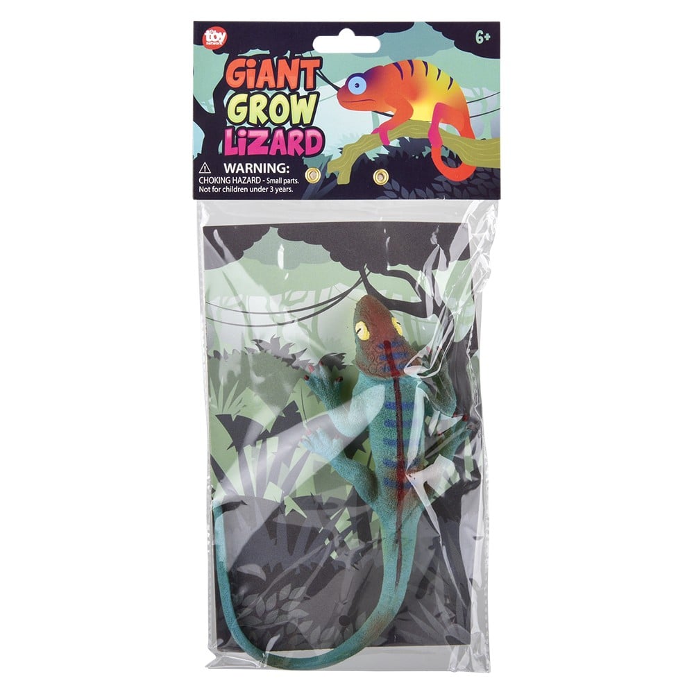 Grow Lizard Toy (1 DZ)
