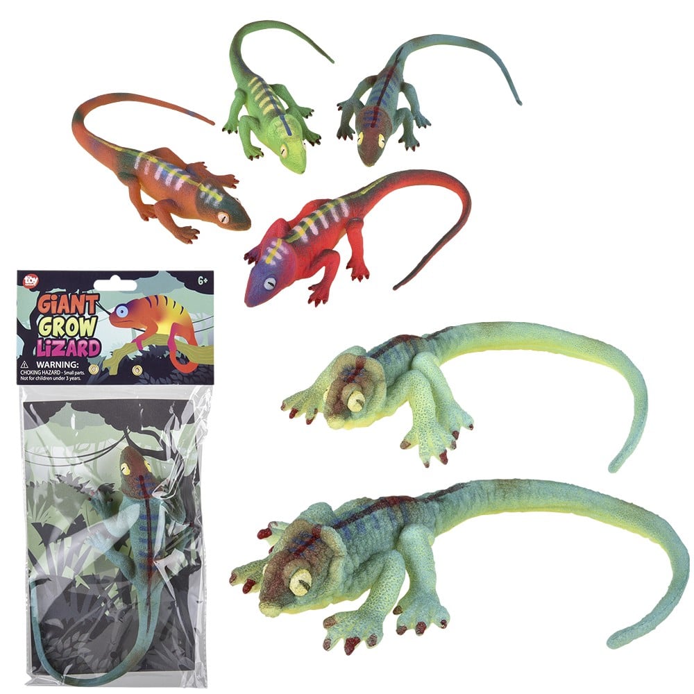 Grow Lizard Toy (1 DZ)
