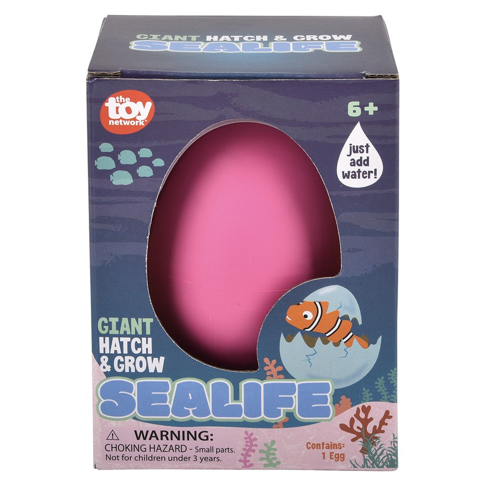 Hatch And Grow Sea Life (8 Pc Inner Box)