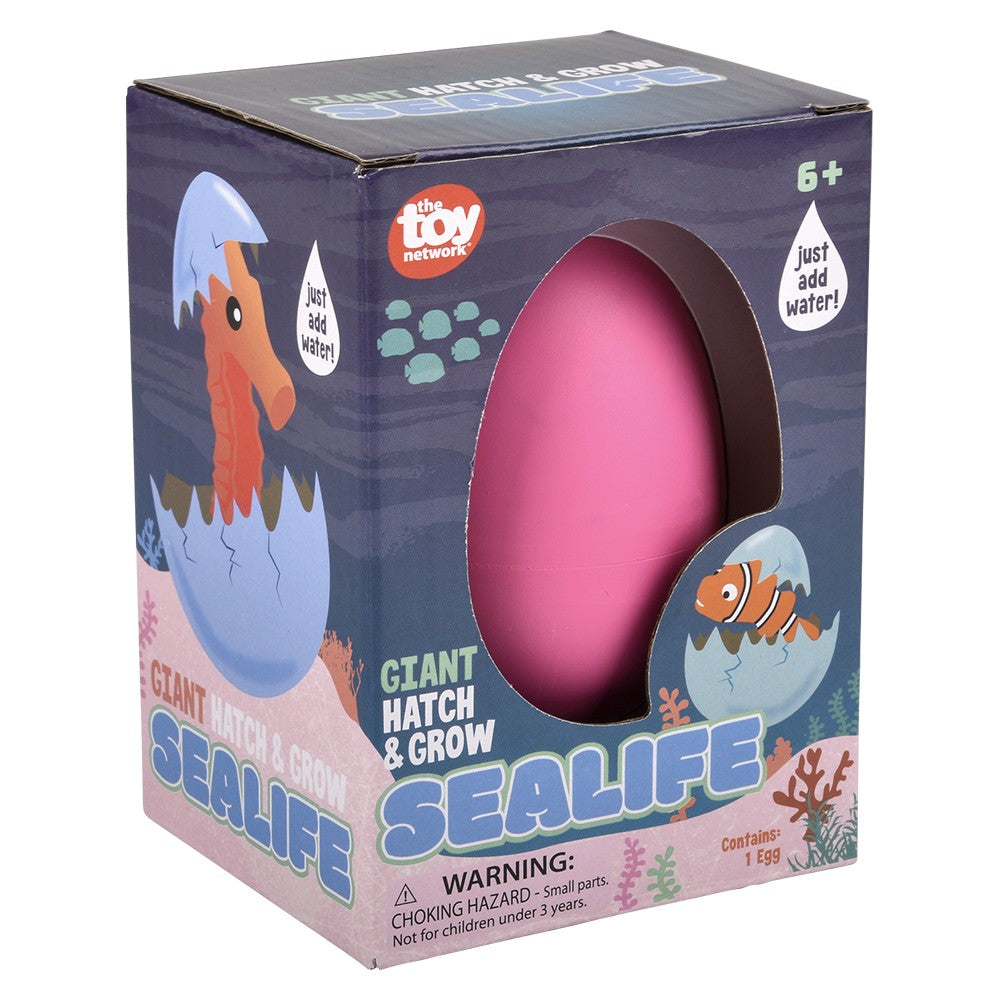 Hatch And Grow Sea Life (8 Pc Inner Box)