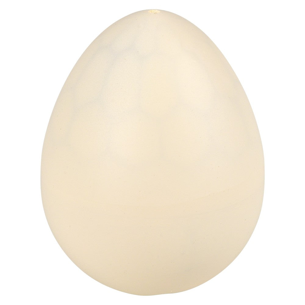 Hatch and Grow Gator Egg (12 PC Display)