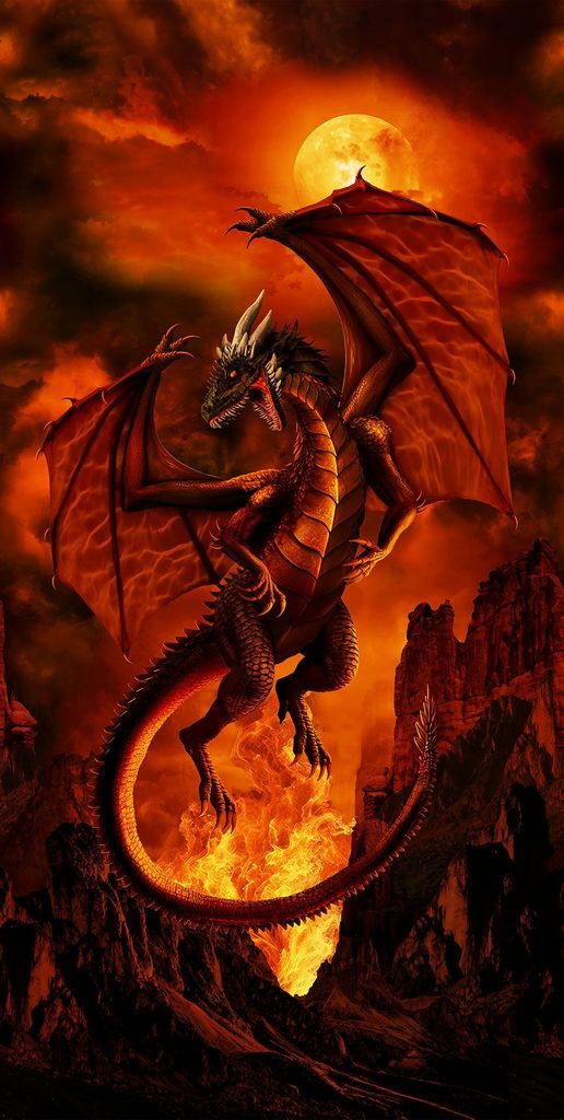 Cotton Fabric Fire Dragon Panel 24" x 44"/45"