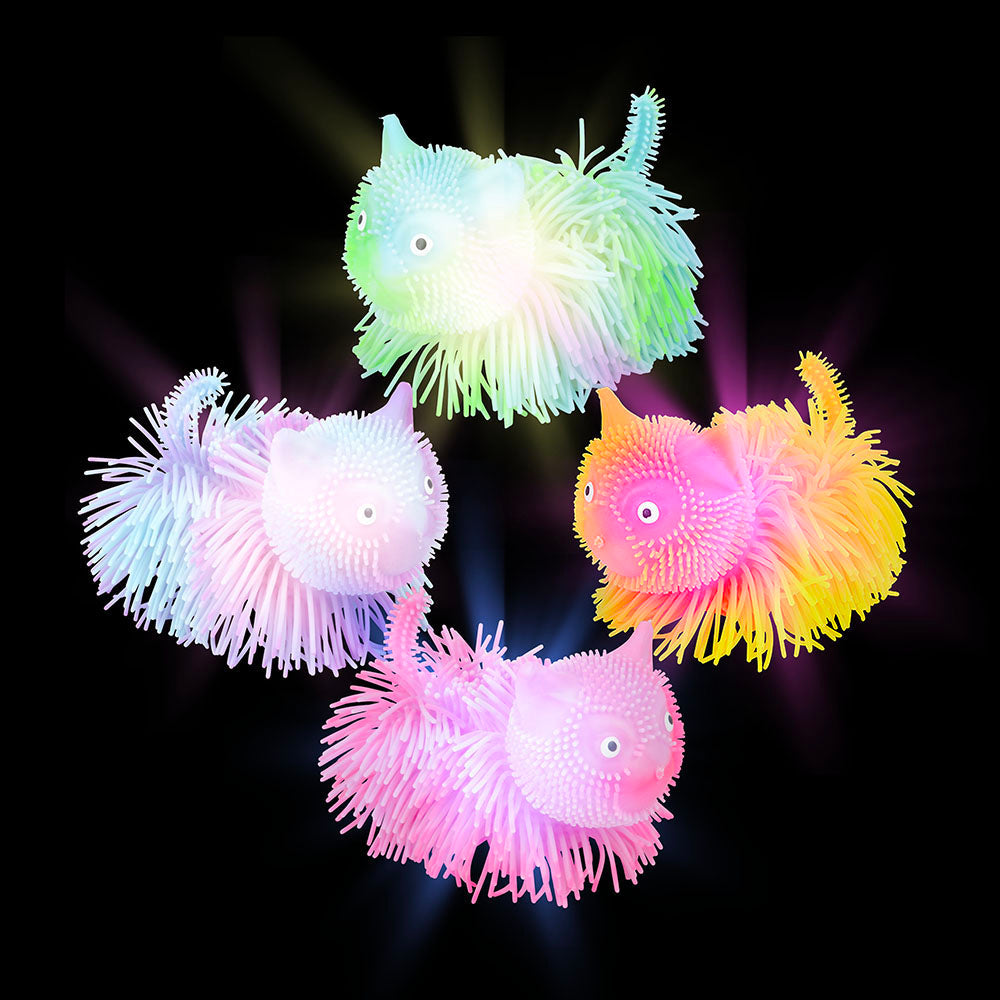 Light-Up Shaggy Cat Puffer (12 Pc Display)