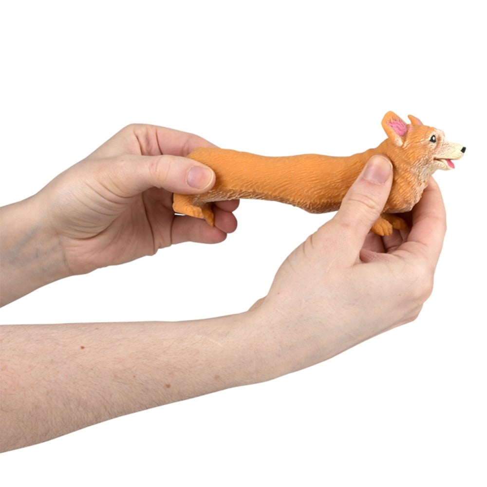 Stretchy Squish Corgi (12 DZ Display)