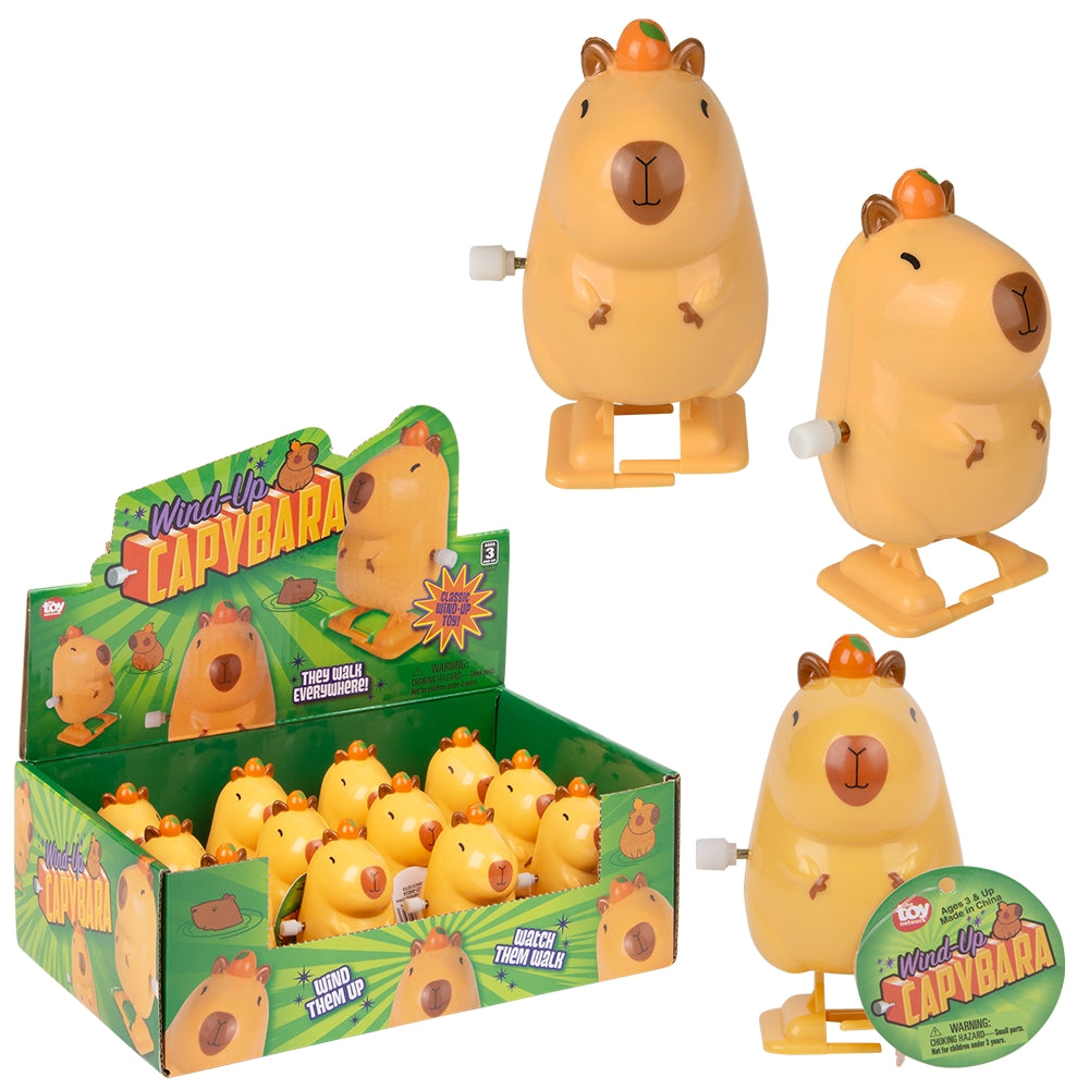 Wind-Up Capybara Toy (1 DSP)