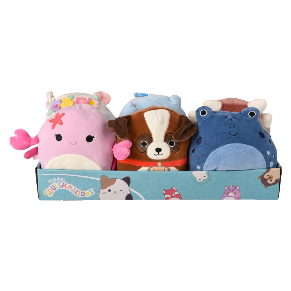Squishmallow Plush Display (1 DIS)