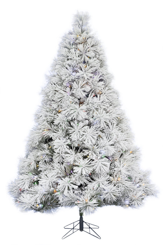 Prelit Snow Flocked Long Needle Atka Pine with Multicolor Lights