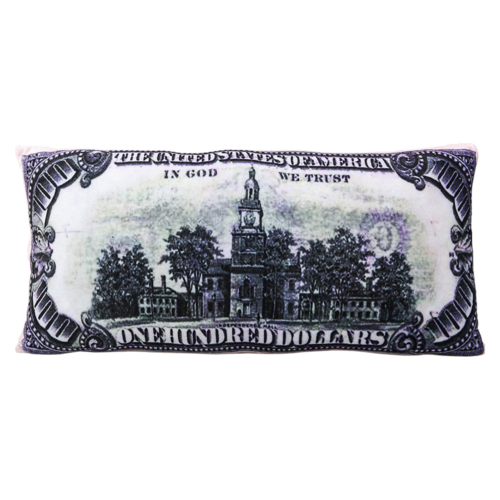 Money Pillow Plush Pillow (1 PC)