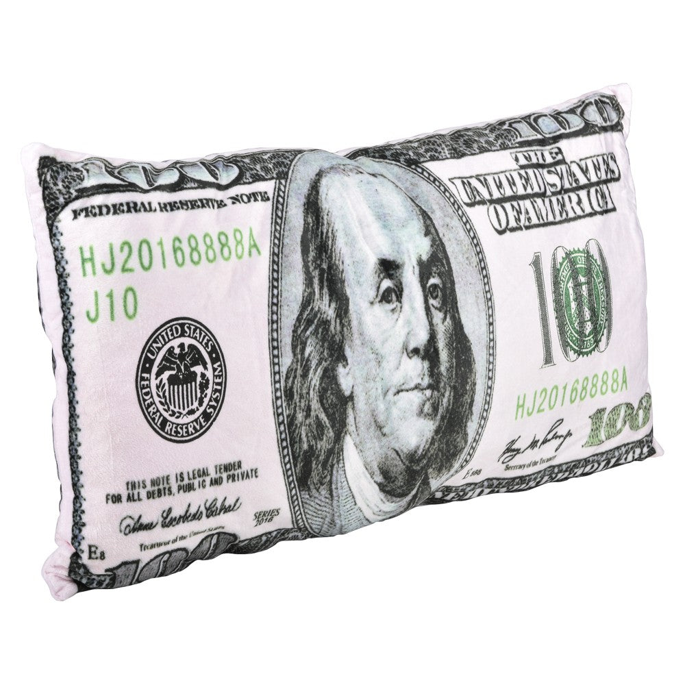 Money Pillow Plush Pillow (1 PC)