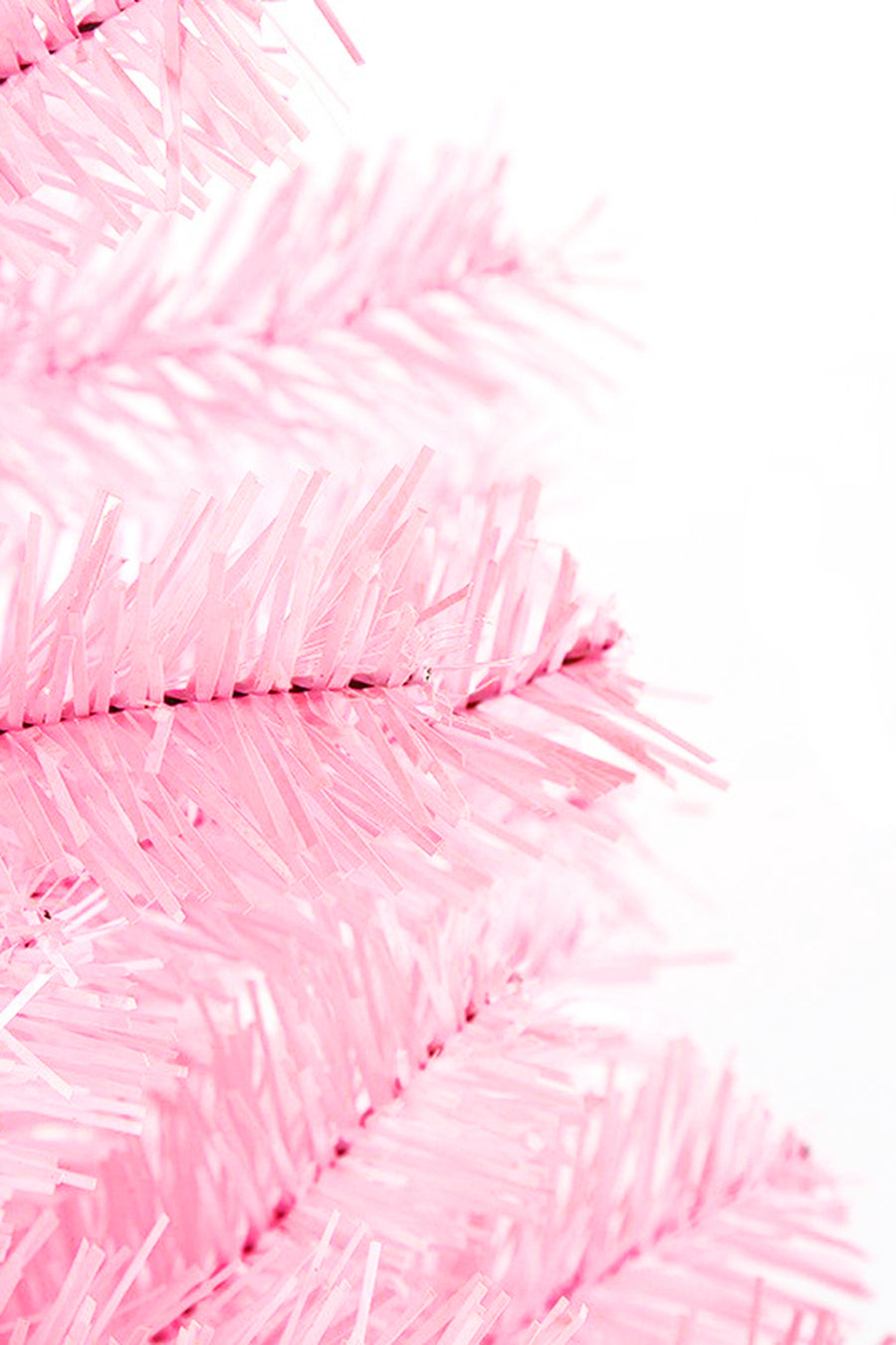 6' Light Pink Norway Pine