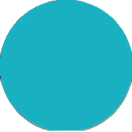 Prolite Heat Transfer Vinyl Fabric - Aqua Blue, Hot Peel (1 Foot)