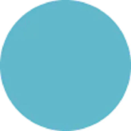 Prolite Vinyl Heat Transfer Vinyl - Seafoam Blue, Hot Peel (1 Foot)