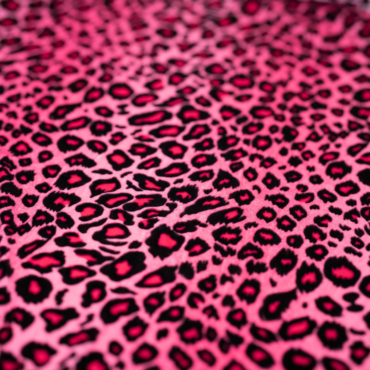 Pug Leopard Primo Stretch Velvet Fabric - Leopard Print, 56" Width (1 Yard)