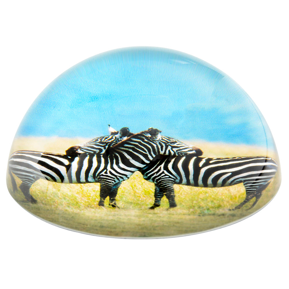 Zebra Dome Paperweight 80 mm