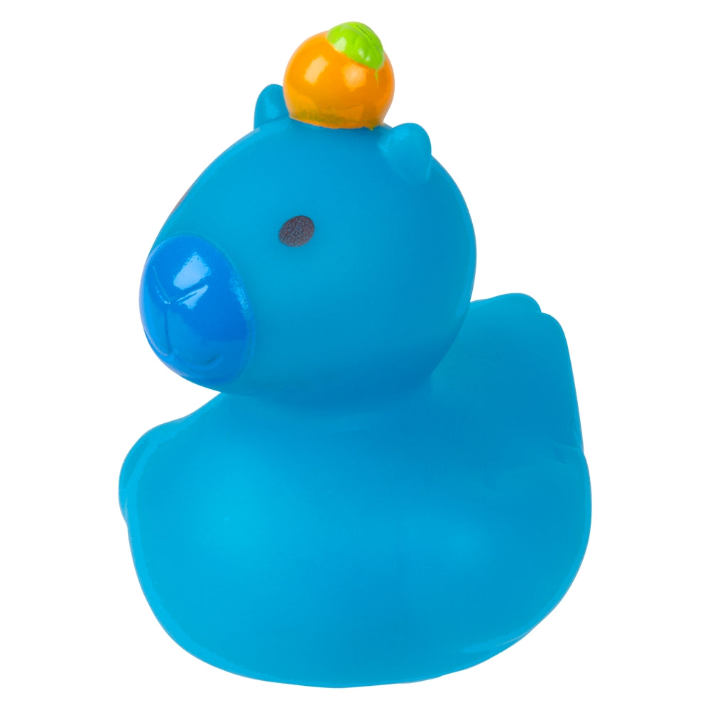 Capybara Ducky 2" (1 DZ)