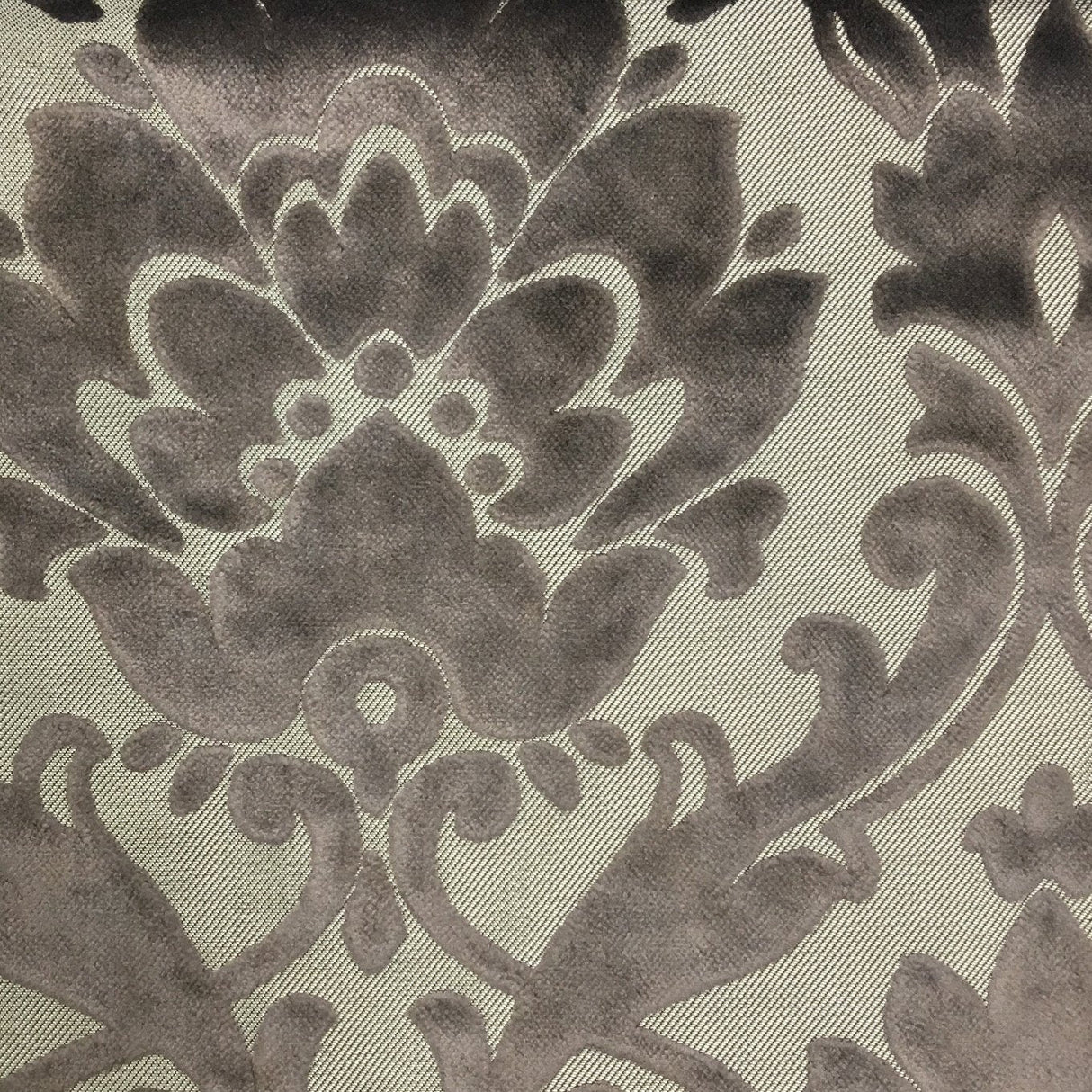 Burnout Velvet Upholstery Fabric Nottingham Damask