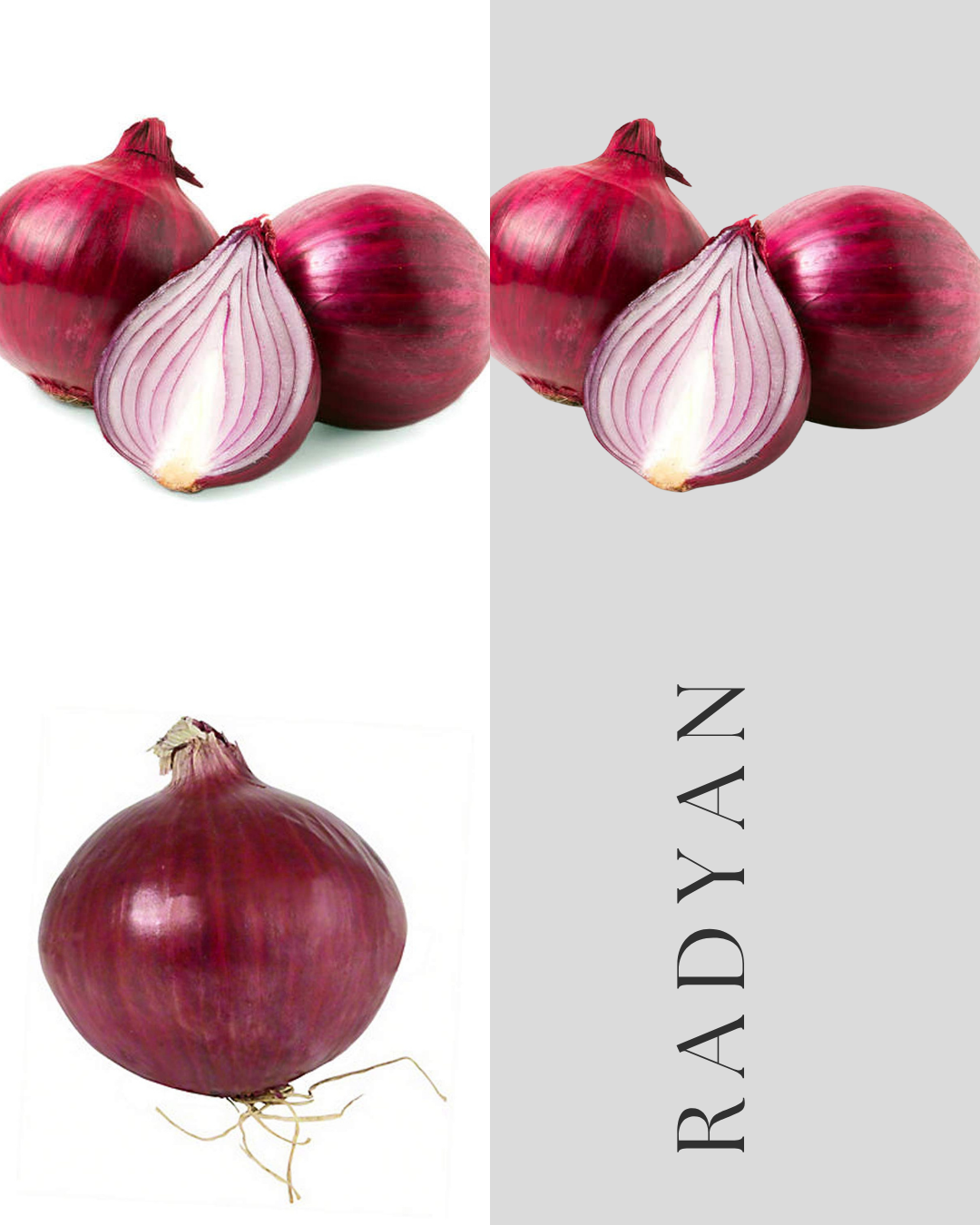 Radyan Organic Red Onion
