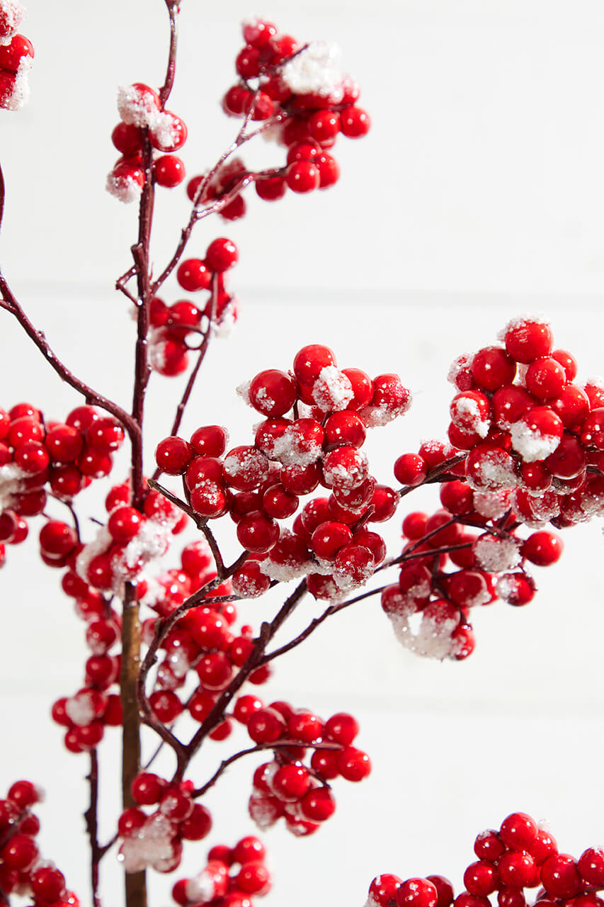 30” Red Snow Berry Christmas Spray