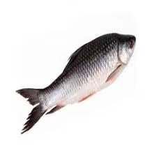 Rohu 3 KG