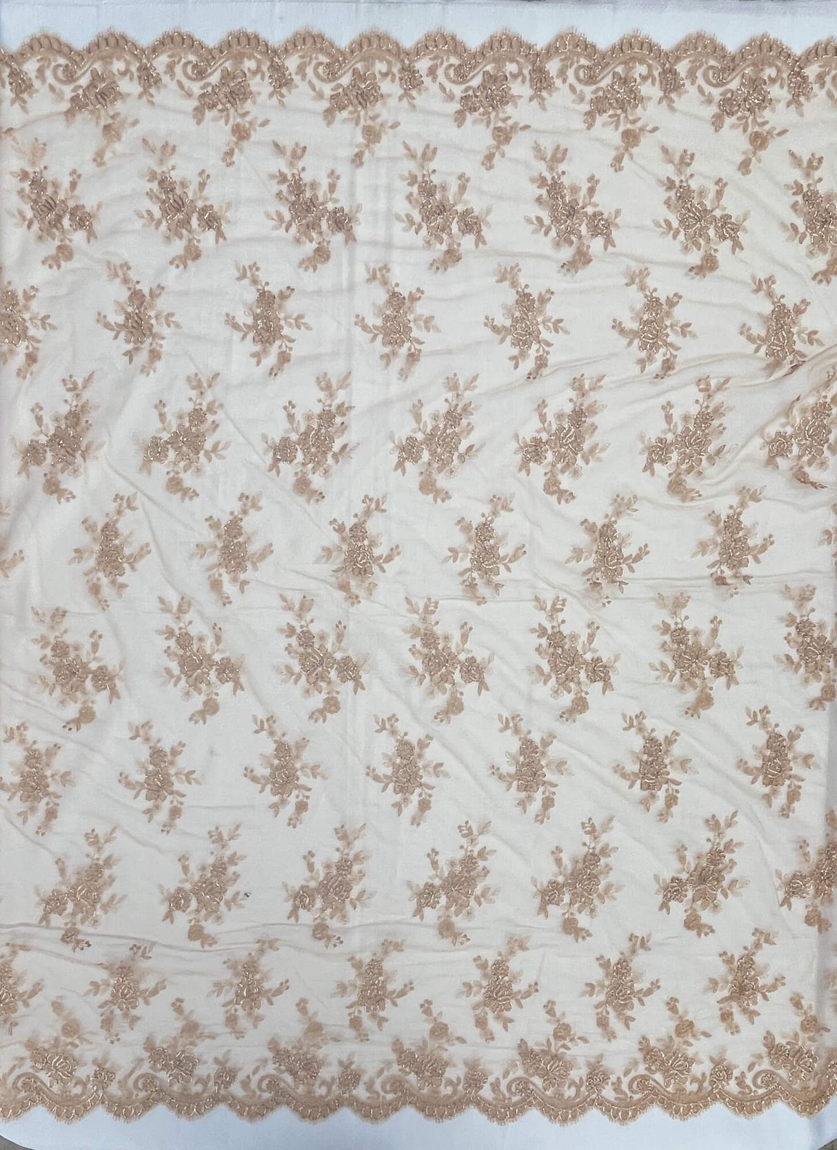 Corded Embroidered Lace Mesh