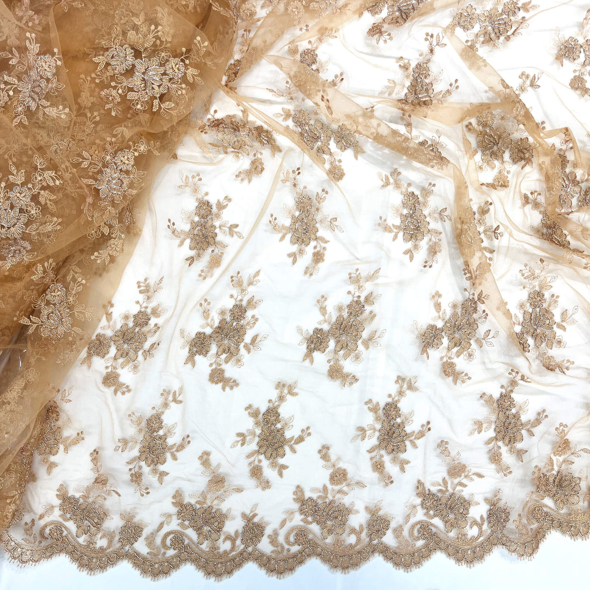 Corded Embroidered Lace Mesh