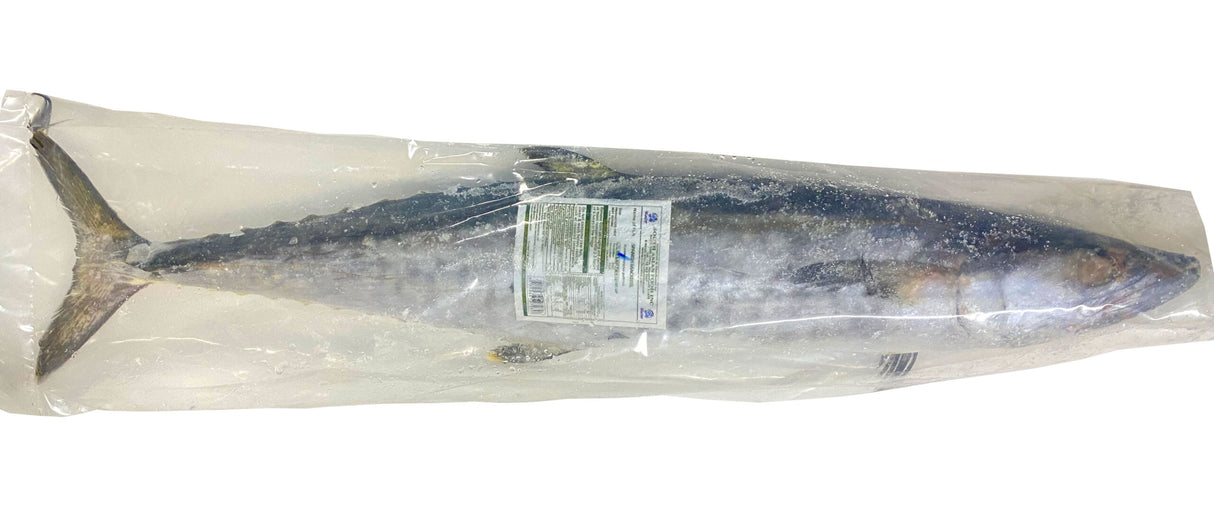 Mackerel – King Fish