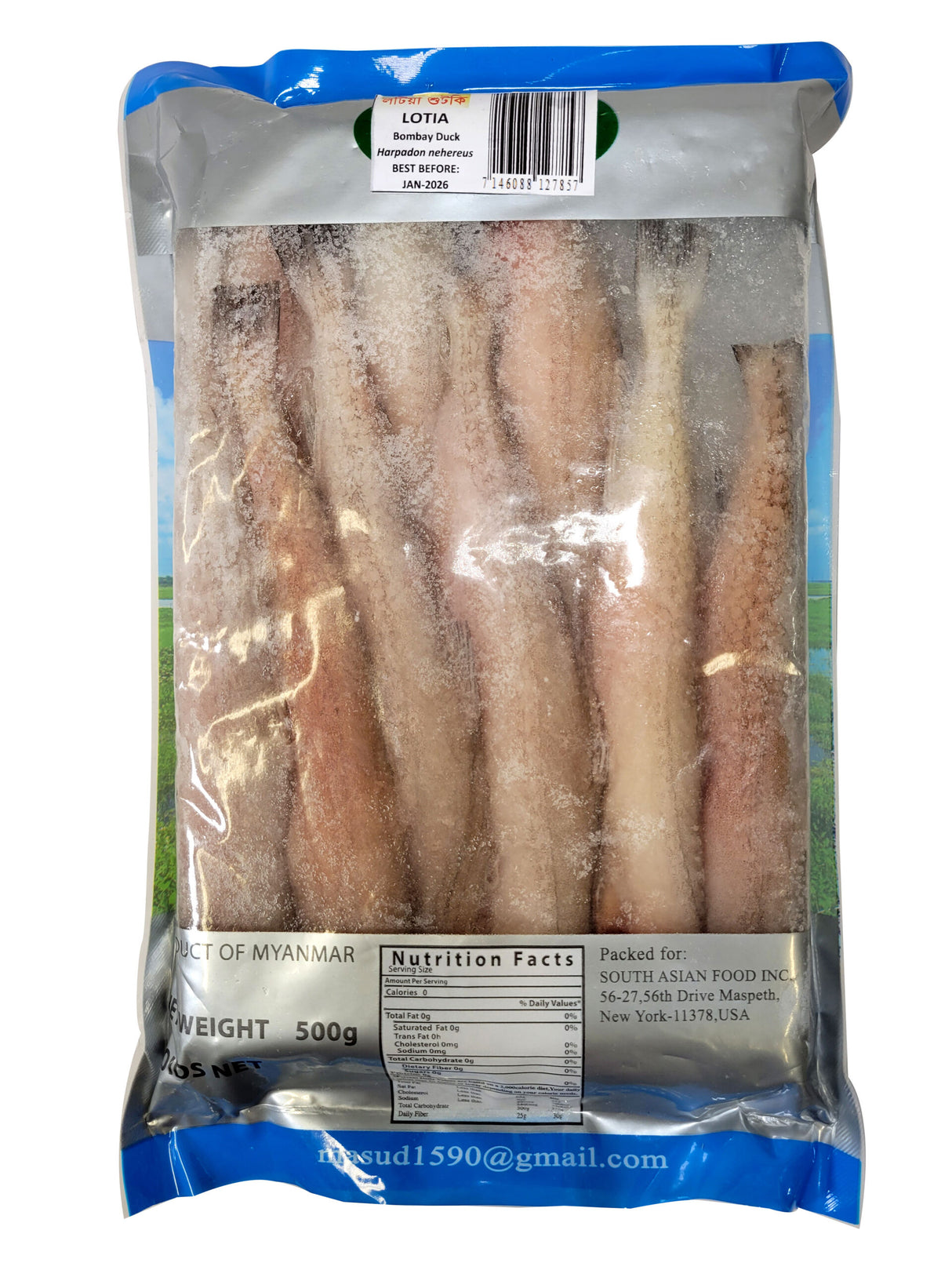 Lotia IQF – 500g