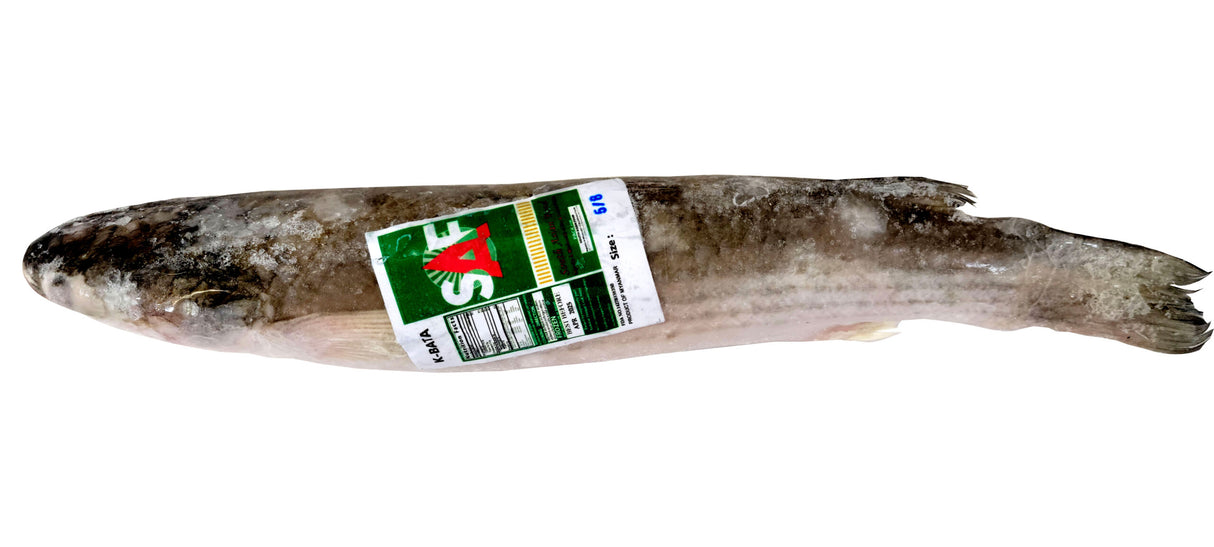 Khorol Bata - 6/8 KG