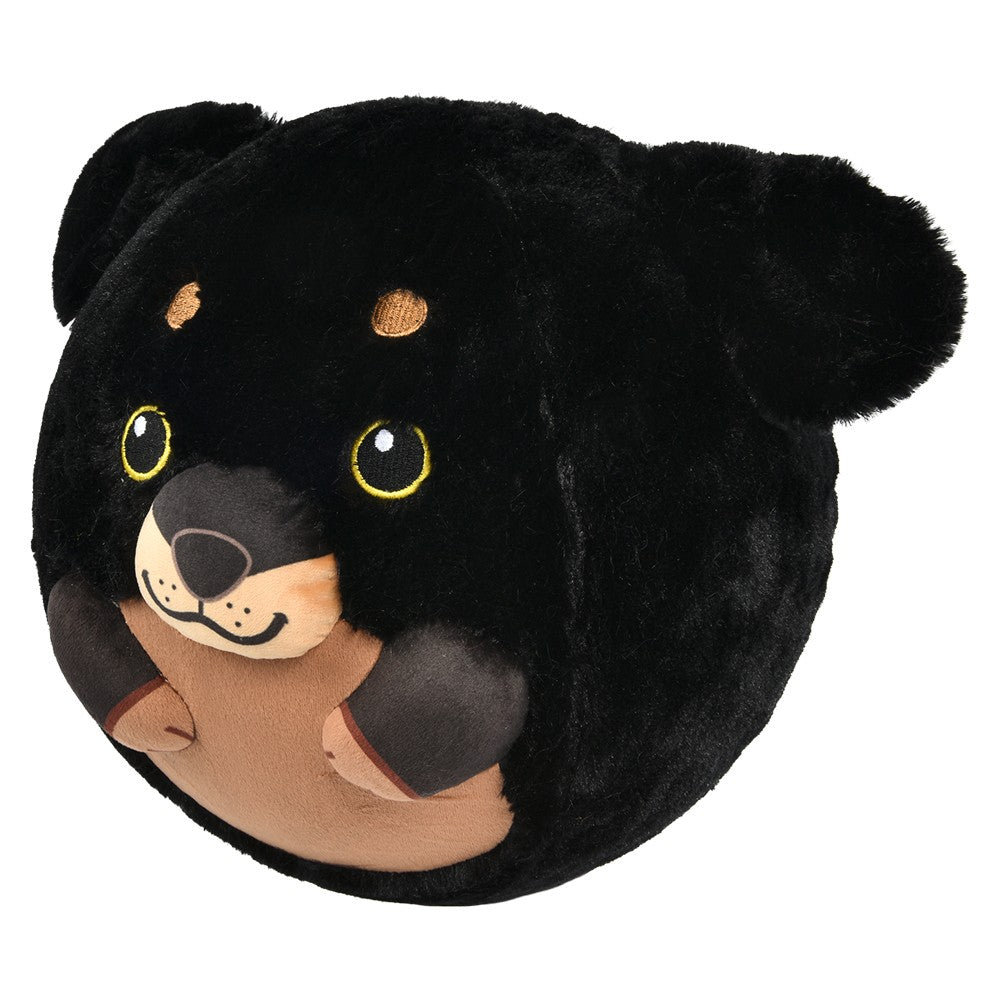 Belly Buddy Bladder Ball Assortment (1 PC)