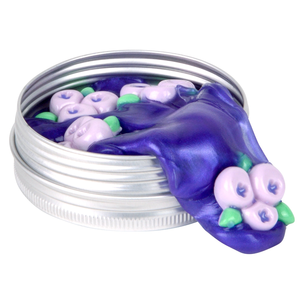 Scented Fruit Putty 12ct (1 DSP)