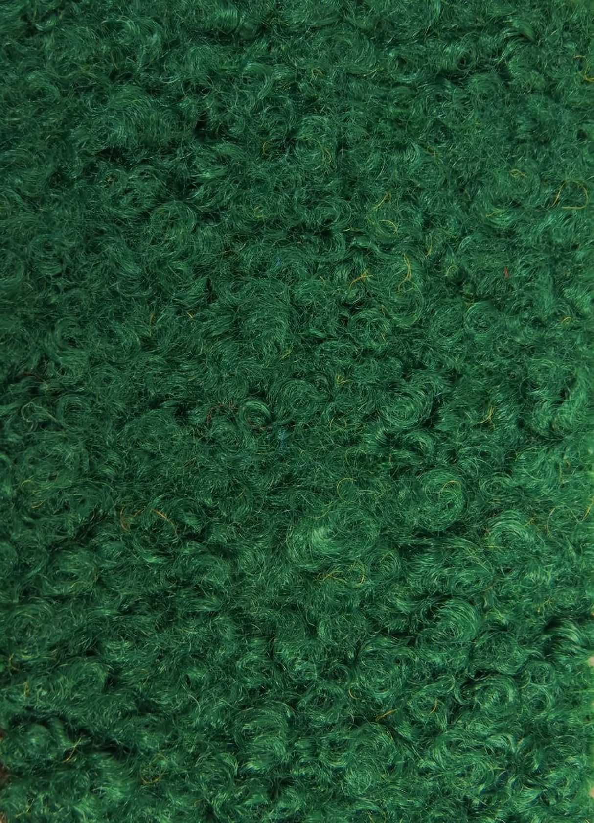 Hunter Green Sherpa Teddy Knit Fabric