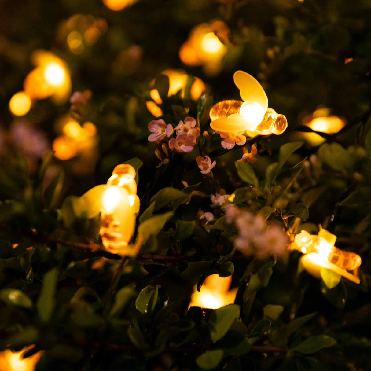 Bee Solar String Lights – 8 Modes