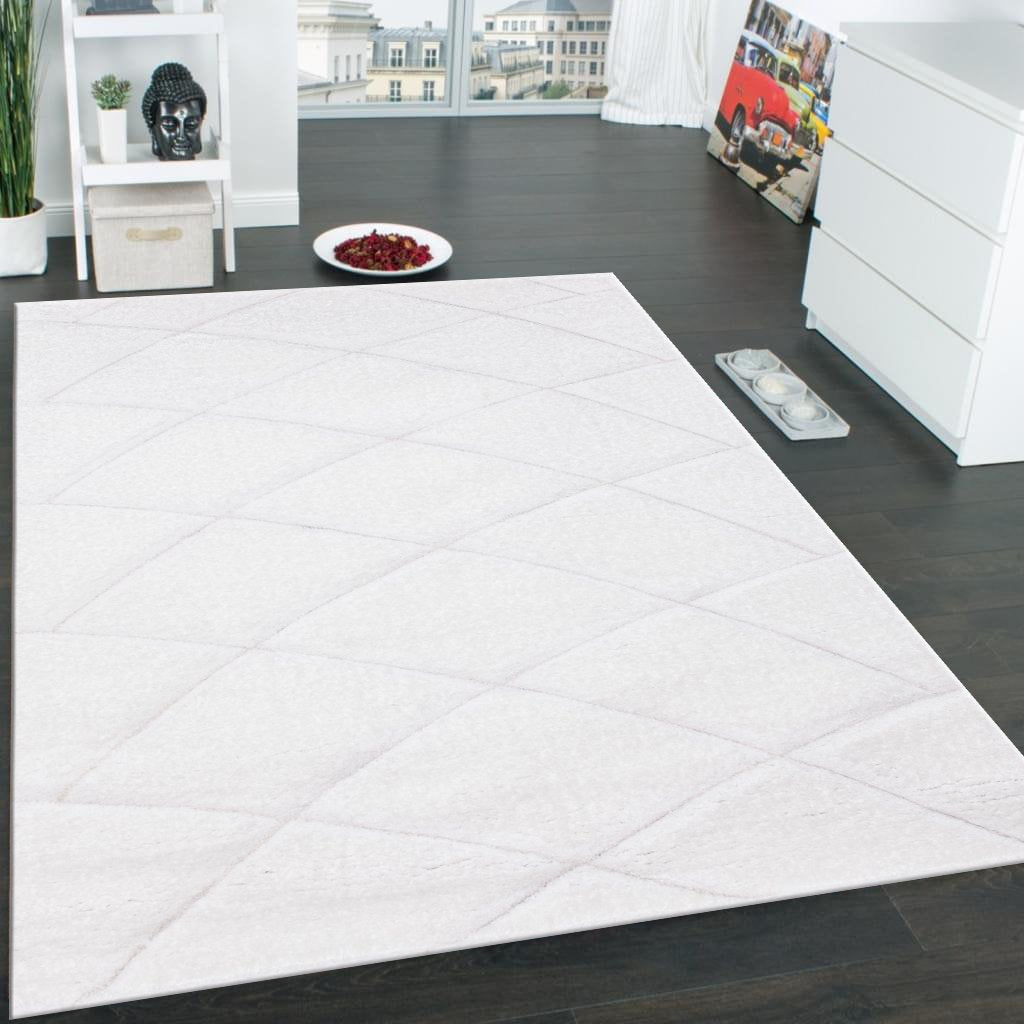 SR-722 Polyester Fabric - White/Black 3D Lines, Shag Area Rug, 2" Pile Height (1 Piece)