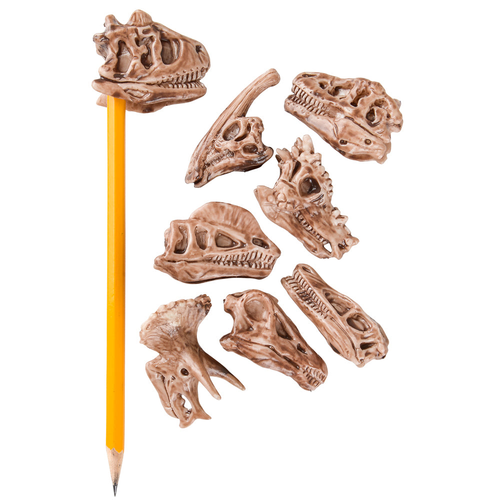 Dinosaur Fossil Pencil Top (1 DZ)