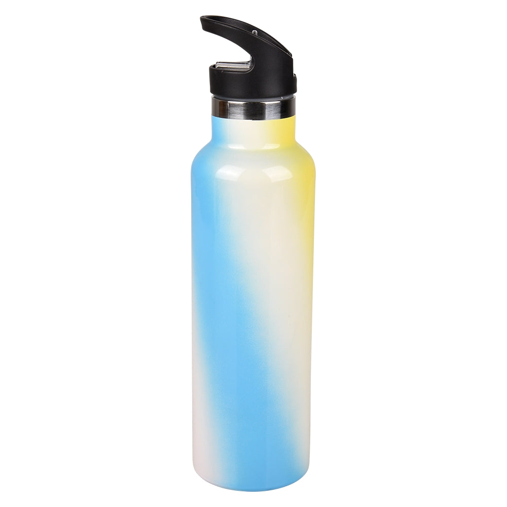 Double Wall Stainless Steel Sports Bottle With Straw 20 Oz