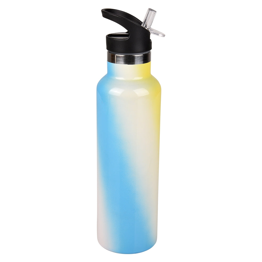 Double Wall Stainless Steel Sports Bottle With Straw 20 Oz
