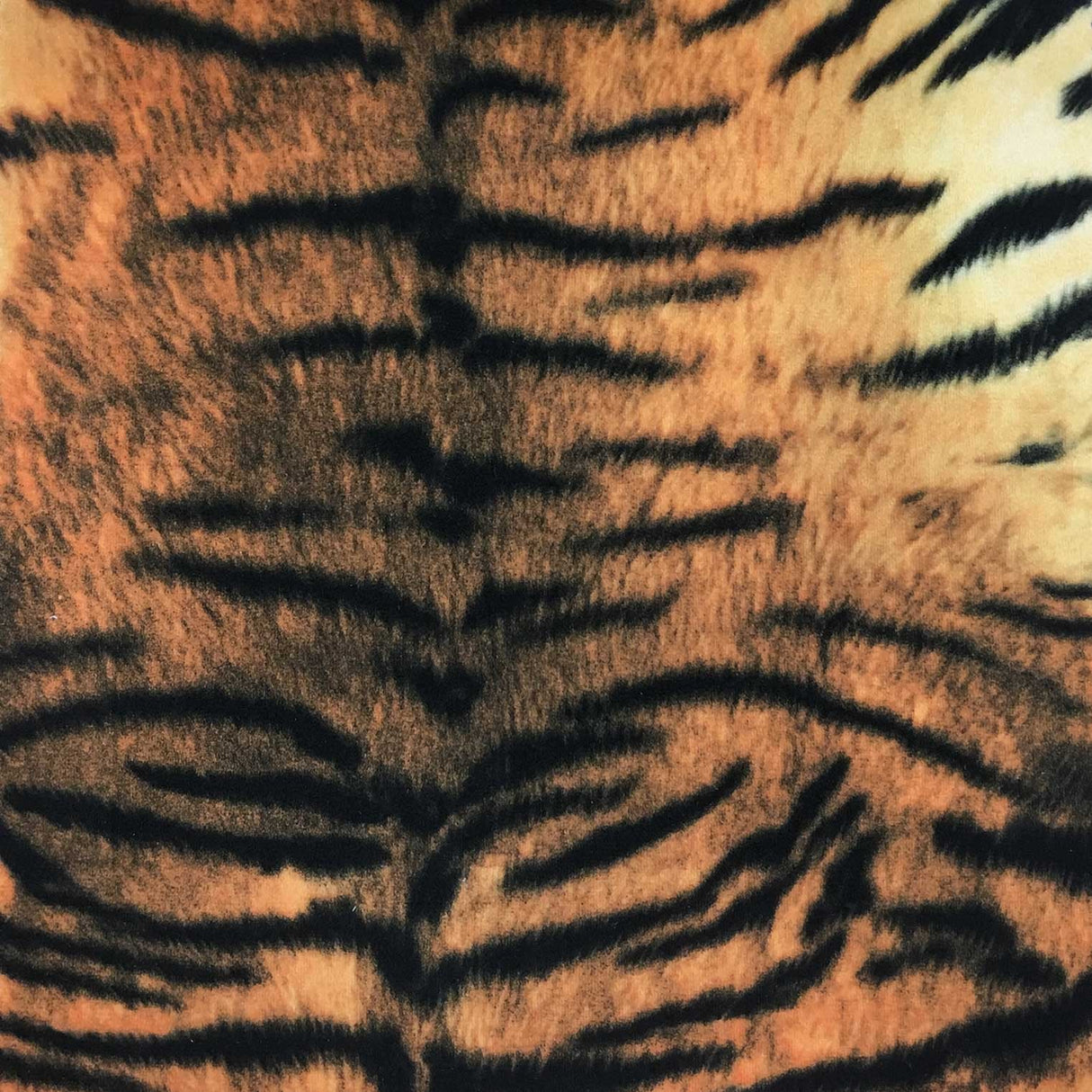 Velvet Fabric Safari Tiger Animal Print by the Yard