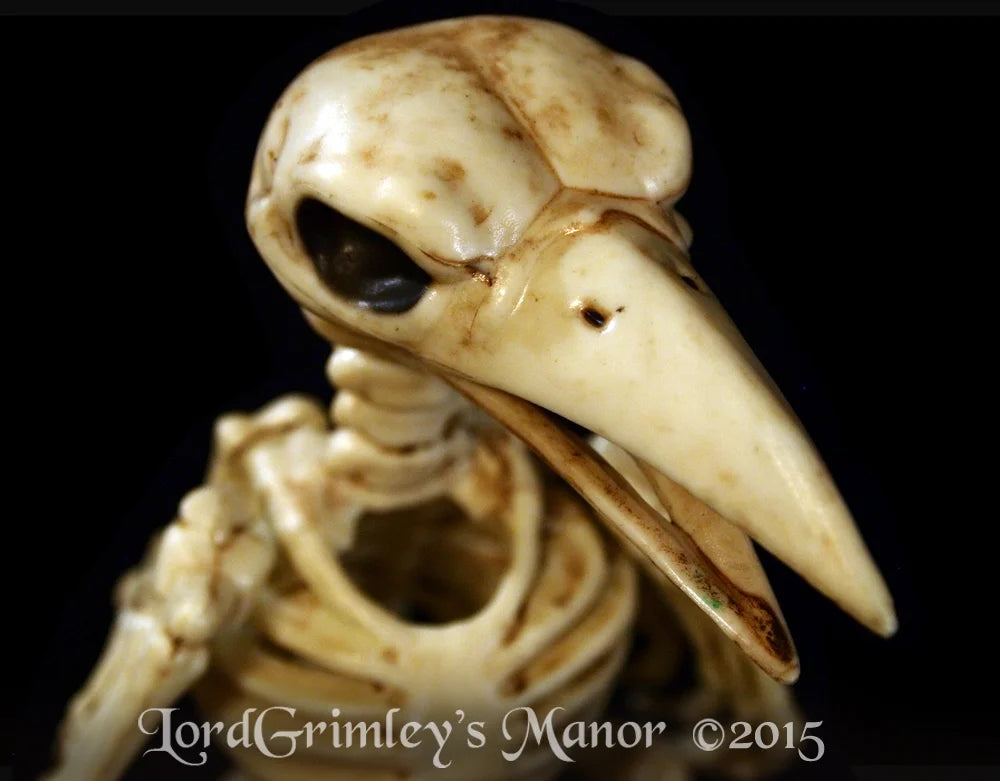 Bonez Skeleton Crow