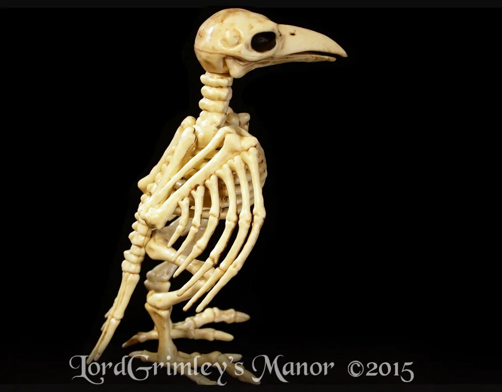 Bonez Skeleton Crow