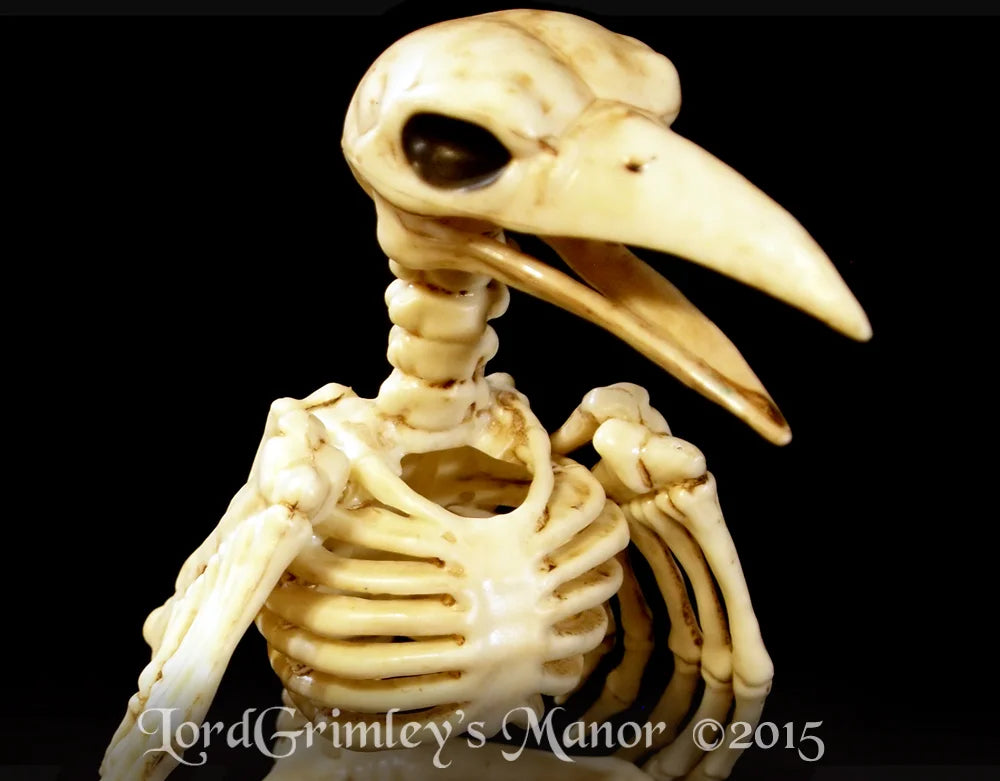 Bonez Skeleton Crow
