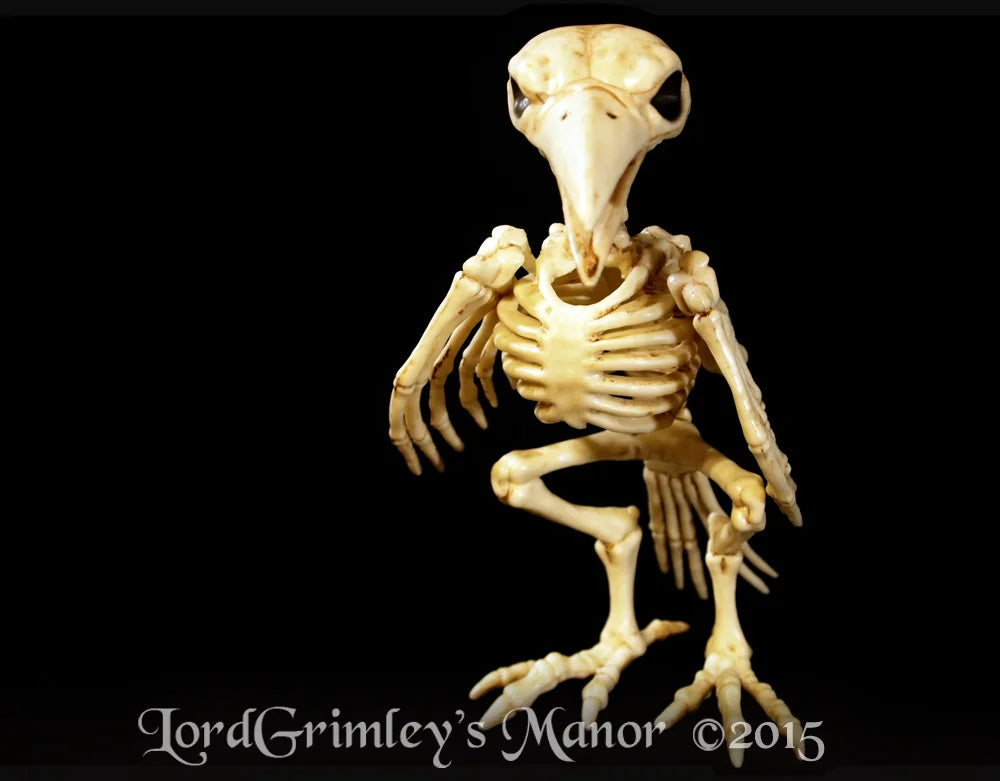 Bonez Skeleton Crow