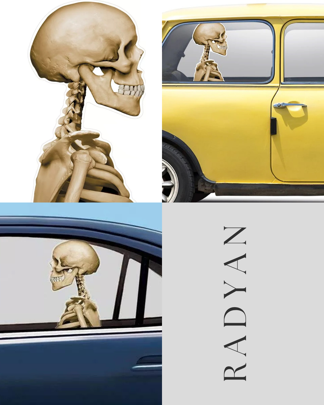 Skeleton Car Cling