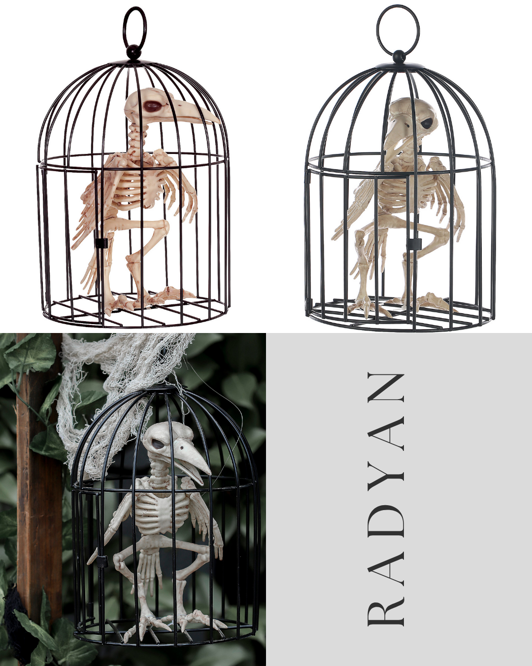 Skeleton Crow in Cage