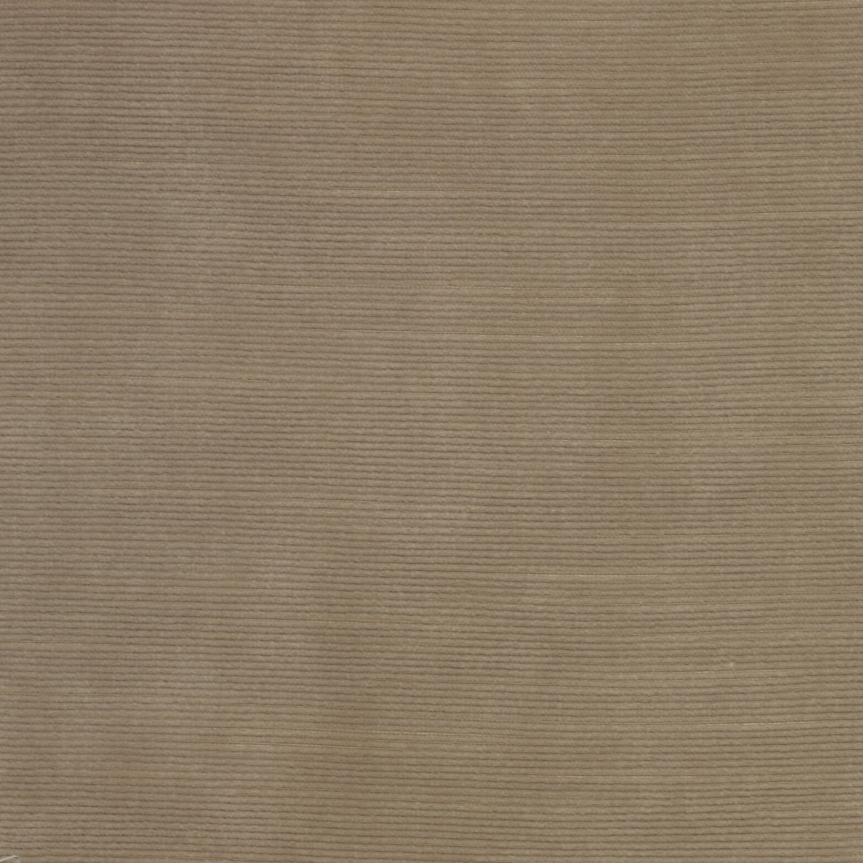 Velvet Upholstery Fabric Sloane Slubbed Plush
