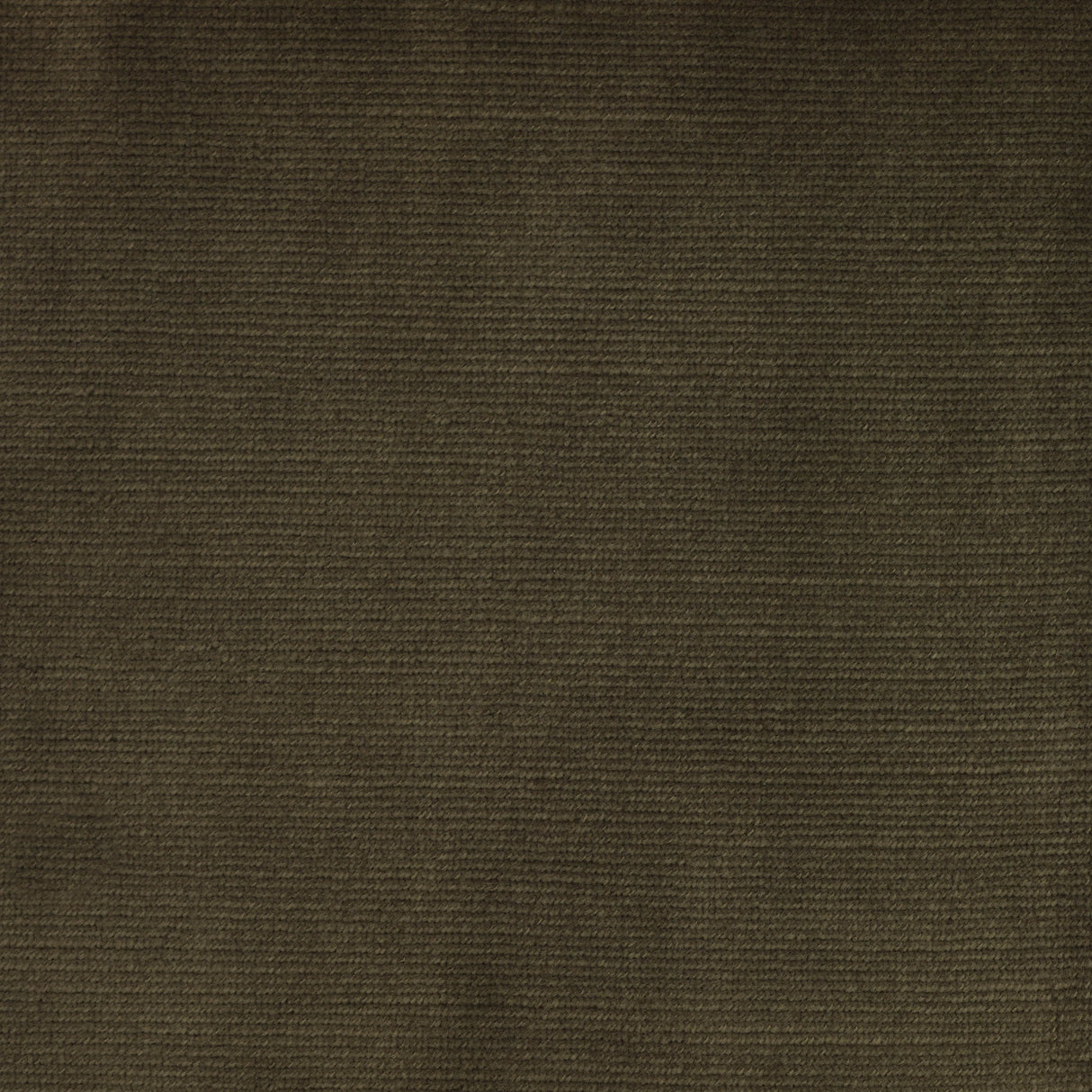 Velvet Upholstery Fabric Sloane Slubbed Plush