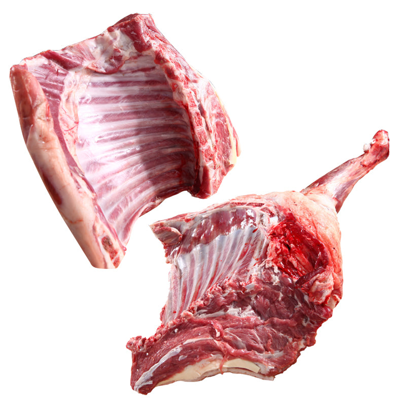 REGULAR LAMB FRONT LEG