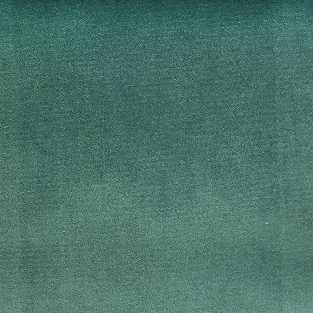 Tuscan Solid Shiny Velvet Fabric - Solid Sheen Velvet, 55" Width (1 Yard)
