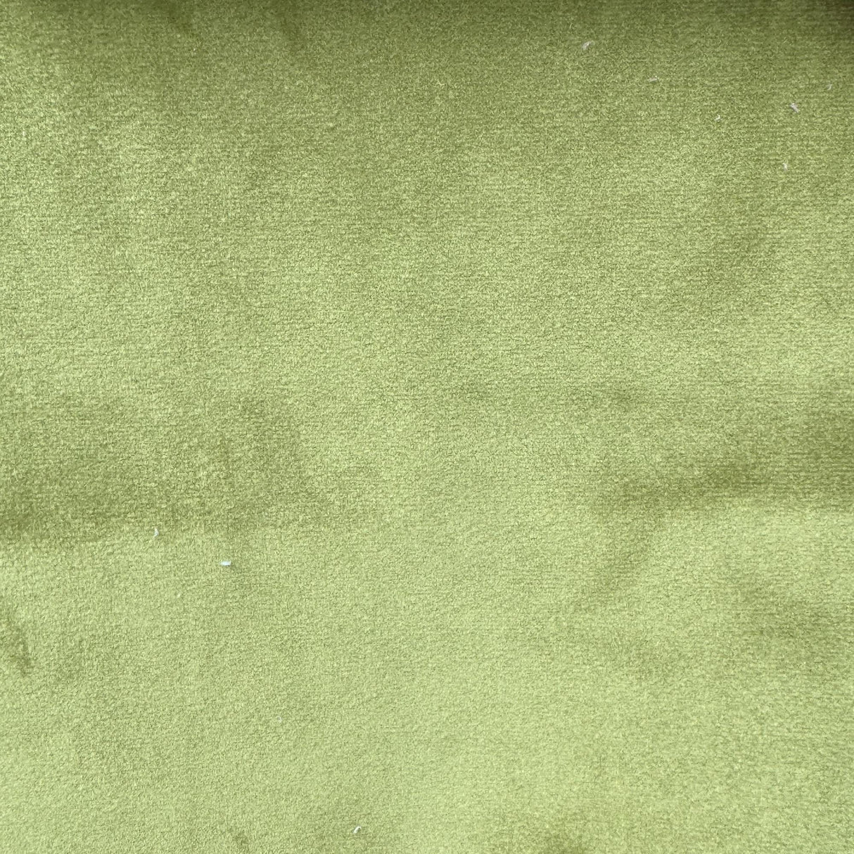 Tuscan Solid Shiny Velvet Fabric - Solid Sheen Velvet, 55" Width (1 Yard)