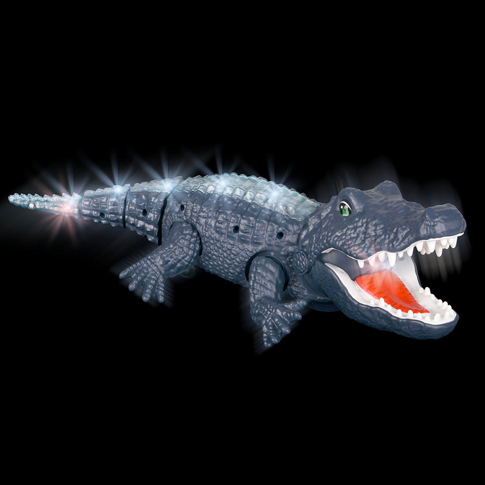 Light-Up Crawling Crocodile Toy