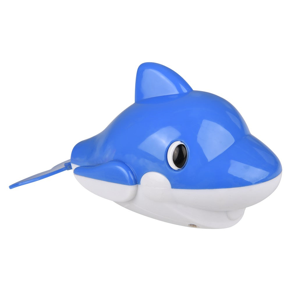 Wind Up Dolphin (12 Pc Display)